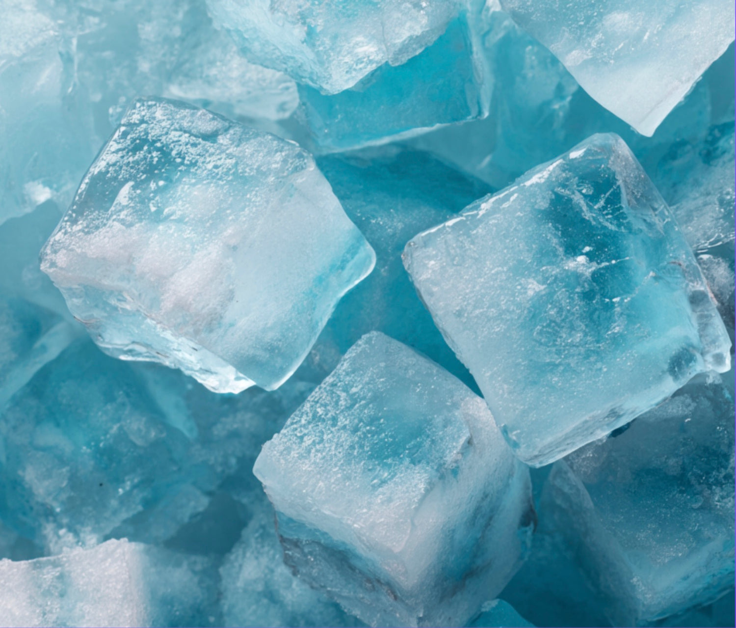 Image with text section